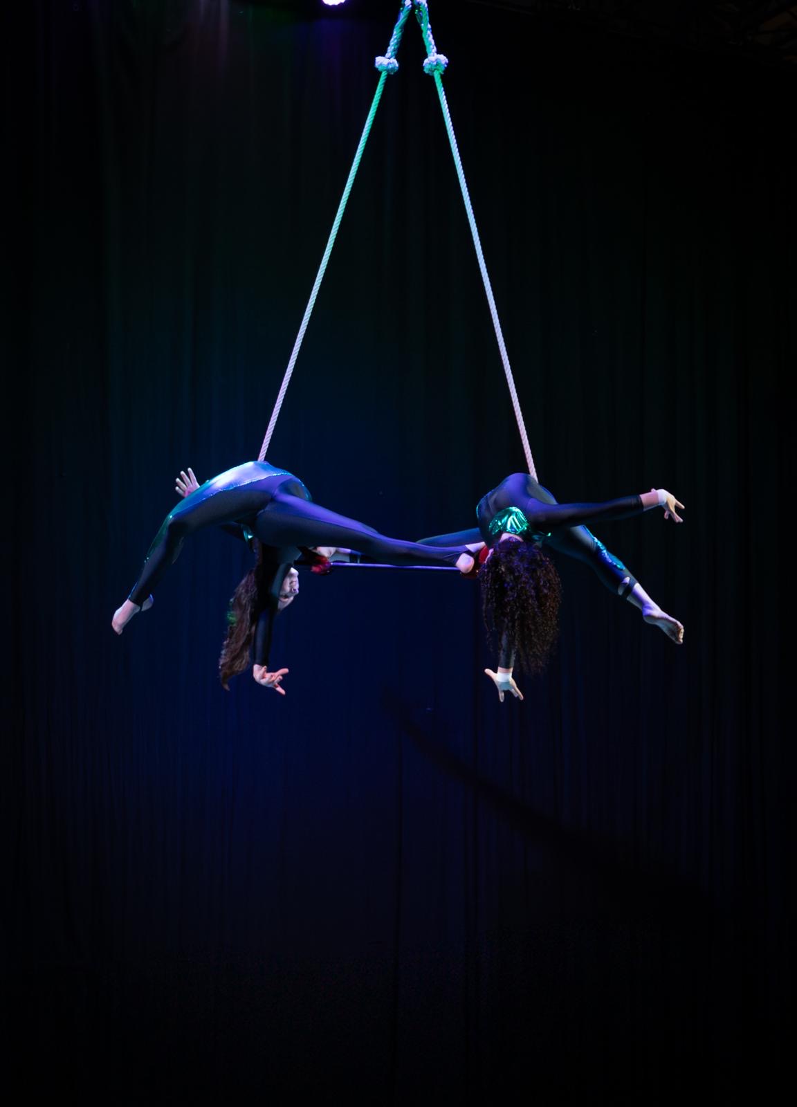 Performance